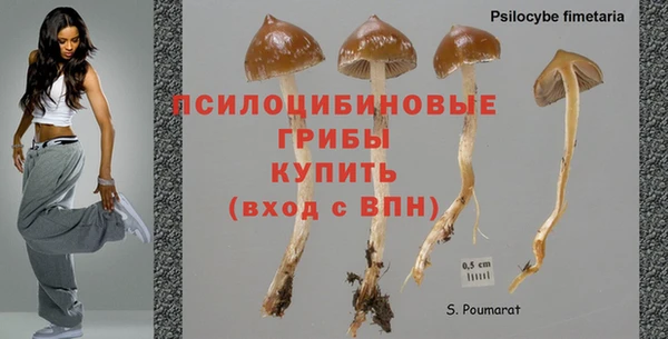альфа пвп Верхнеуральск