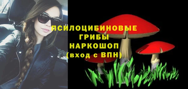 эйфоретик Бронницы