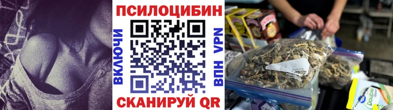 Псилоцибиновые грибы прущие грибы  Кандалакша 